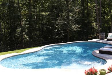 Freeform Pool project 1
