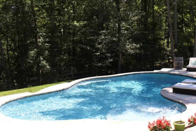 Freeform pool with a curved edge beside a wooded backyard