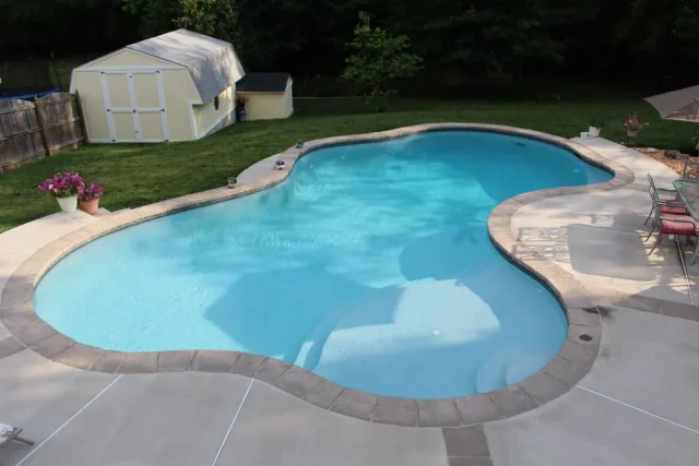 Scordellis freeform pool and shallow shelf beside the accessible garden shed